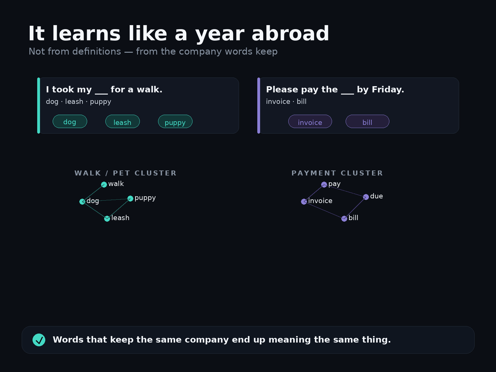 Learning meaning like a year abroad, not from a dictionary. Two fill-in-the-blank sentences: "I took my ___ for a walk" pulls the words dog, leash, and puppy; "Please pay the ___ by Friday" pulls invoice and bill. The walk-and-pet words cluster together on one side, the payment words cluster on the other. Words that keep the same company end up meaning the same thing.